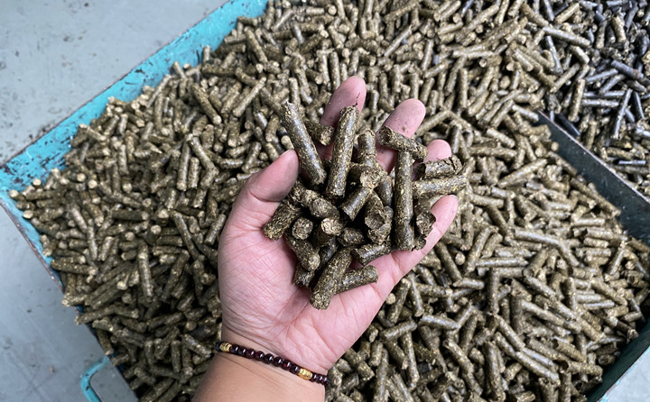 生物質(zhì)顆粒燃料